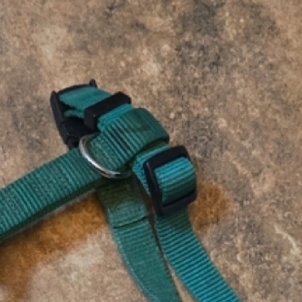 Dark Green | TOP PAW | Dog Harness